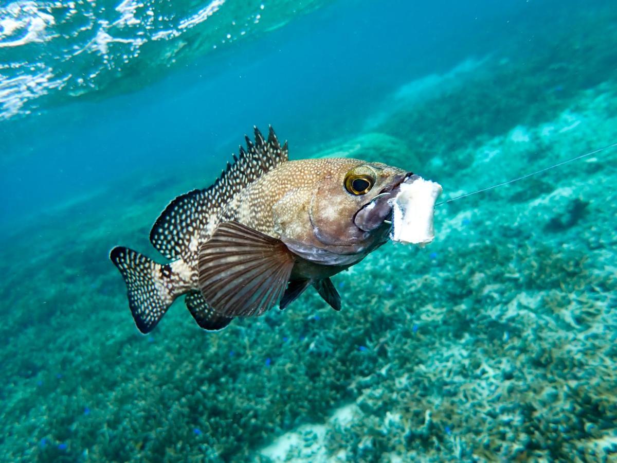 Blue Ocean Resort Ishigaki  Luaran gambar